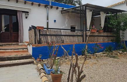 Experience Alpacas in Andalucia - Foto 4