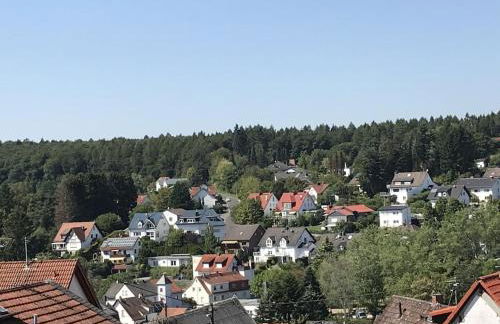 Ferienhaus mit Sauna, Wintergarten und Terrasse im schönen Hochtaunus - Foto 57