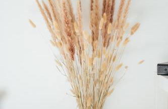 Charmant cocon au cœur de Rennes calme et lumineux - Foto 12