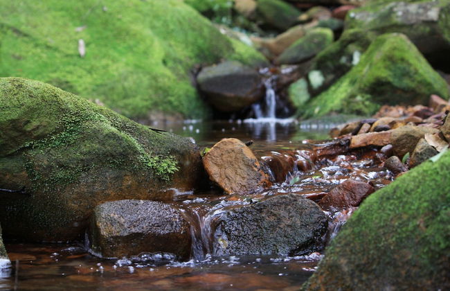 Glenworth Valley Outdoor Adventures - Photo 22