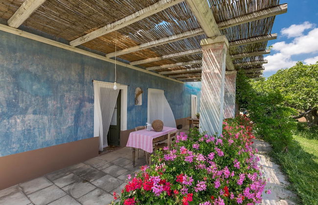 Le Cernicole - Foto 35