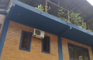 Sol do Girassol - Foto 2