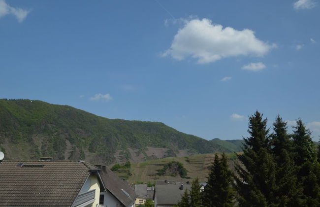 Attractive Holiday Home in Bremm With Garden - Foto 34