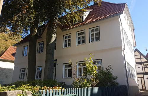 Patrizierhaus Altstadt am Brauhaus Zwiebel - Foto 30