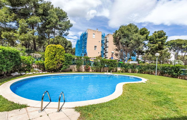 Bosc de la Montserrada - Foto 1