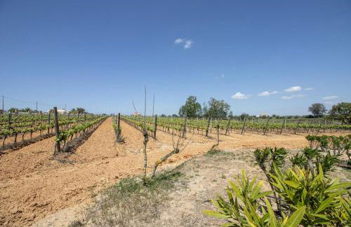 Quinta Dionysus - Foto 38