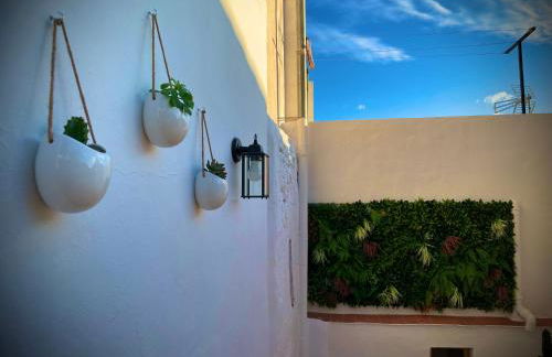 CASA MÚA - Photo 57