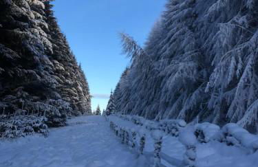 Gorgeous boutique off-grid cottage near Peebles - Foto 79