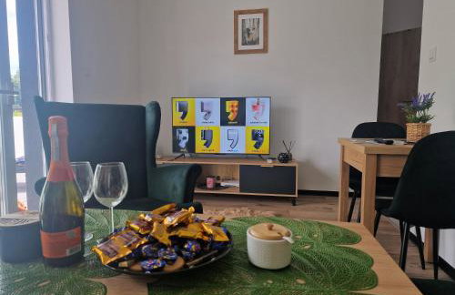 Apartament Słoneczny Taras nad Baryczą - Foto 16