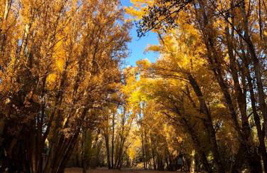 Casa Rural Sabika - Photo 19