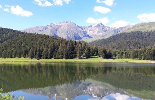 La Cabane du Cerf à Payolle - Foto 15