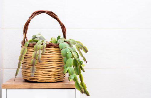 Baia Marzamemi Appartamenti Eleganti con Piscina e Terrazza Privata - Foto 24