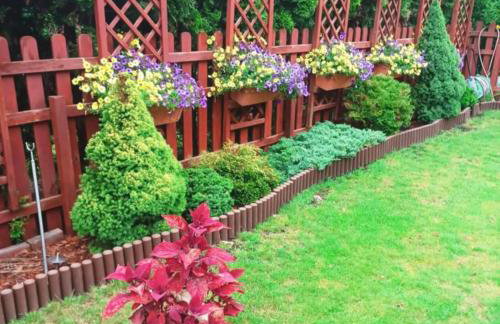 Marianówka - Foto 6