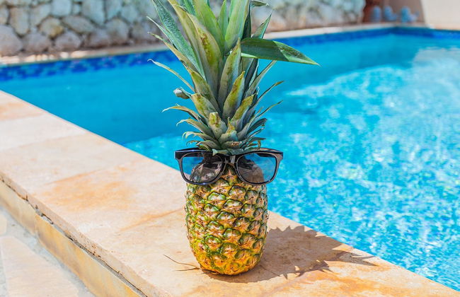 Large Villa With View! Private Pool Free Utilities! - Photo 30