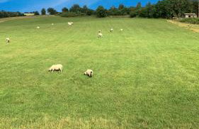 Pudswell Studio - Foto 16