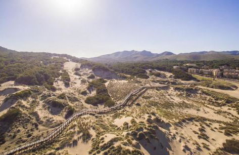 Ideal Property Mallorca - Sol de Mallorca 2 - Photo 50