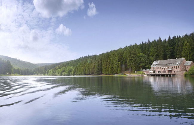 Kickelhahn Comfortable Holiday Residence - Foto 10