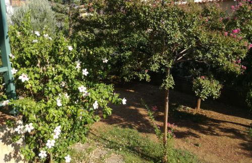 The Valkyries 1 - Foto 23