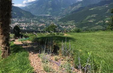 Villa Corazza-Bezauberndes Appartment+ Schwimmbad - Foto 14