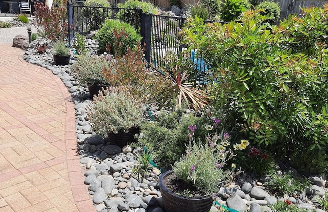 Ocean Breeze Resort - Photo 54