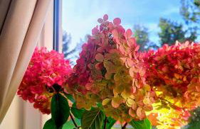 Biały Domek Nielbark - Agroturystyka - Foto 53