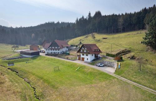 Ferienhof Benz - Foto 27