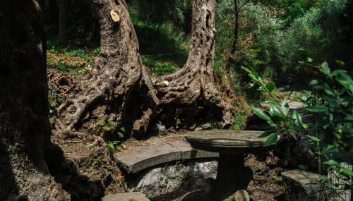 Agriturismo Marzilio - Foto 4, Garden, Garden view