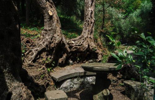 Agriturismo Marzilio - Foto 4