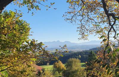 FeWo Mangfall - Foto 22