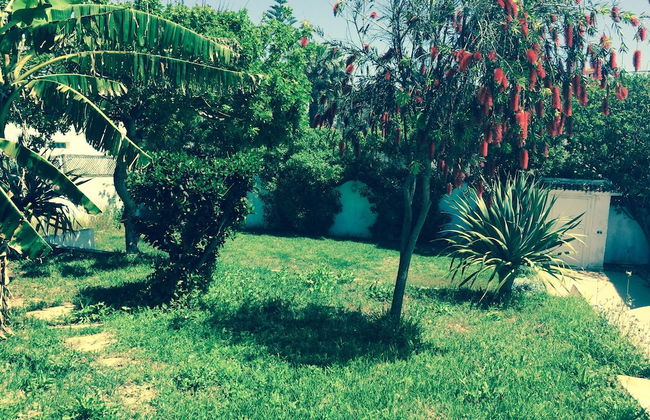 Cabanon pied dans l eau - Photo 9