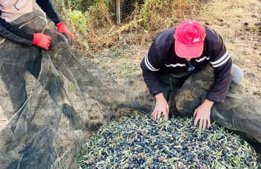 La Cuadra de Finca Don Carmelo - Foto 27