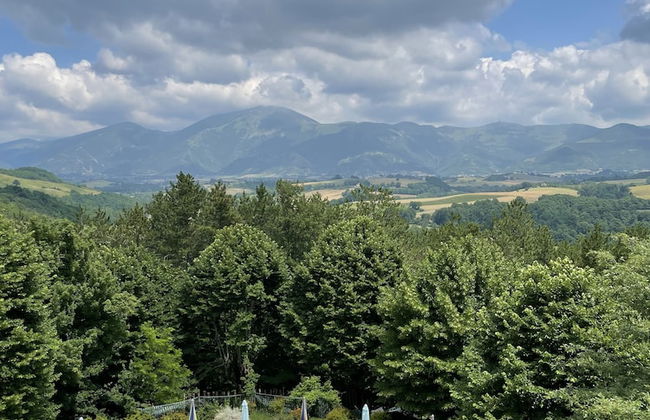 Castello di Baccaresca - Foto 46