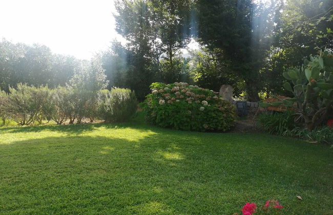 Impeccable 6-bed Villa in Luogosanto - Foto 13