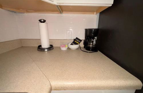 Gecko - LRG Deck River Kayak Launch Updated 1.3M To Beach - Foto 20