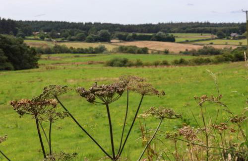 Granary Cottage - Foto 28