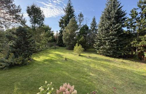 T-h-EBAZILE - Foto 9