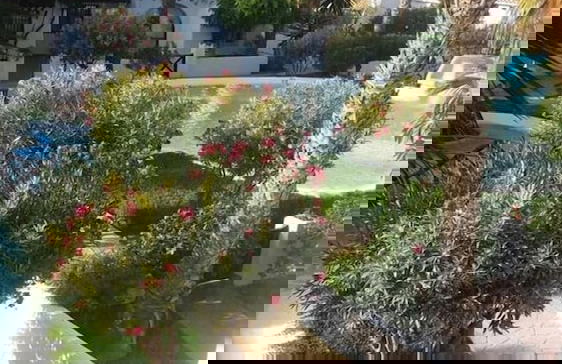 Playa Serena Beach - Photo 24