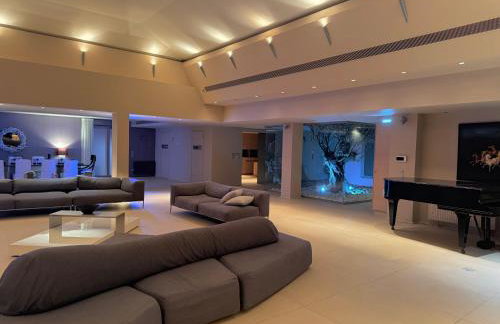 Blue Angel Villa Luxury Seafront Estate - Foto 9