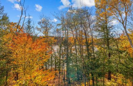 Forget-me-not by Avantstay Bold Lakefront Escape - Foto 128