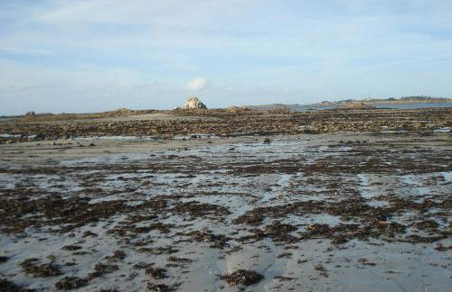 Ti Bihan - Meublé proche plages - Foto 25