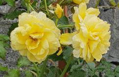 Casa da Água Quente 2 - Photo 36