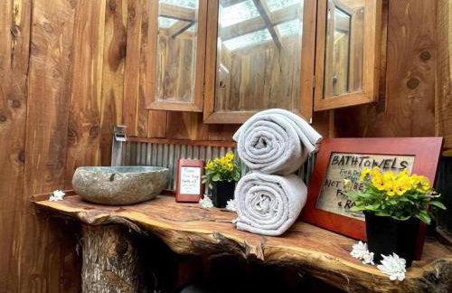 Vintage Caravan Rental for Exploring the Great Outdoors in Cassville, Missouri - Foto 11