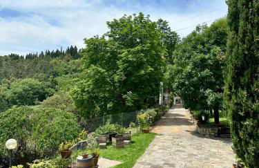 Agriturismo Tassinaia - Foto 8