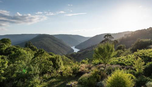 Casa de lujo en la Ribeira Sacra - Foto 4