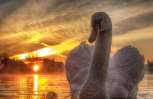 Castleford Cottage , Lowermill Estate - Photo 24