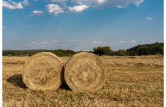 Secret Garden - Foto 73