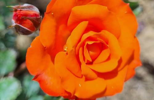 Infinity Wellness Apartment Hotel - Foto 132