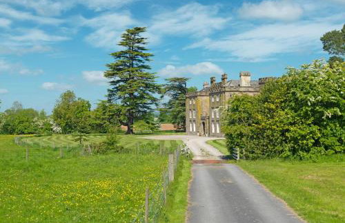 Newcourt Manor - Foto 11