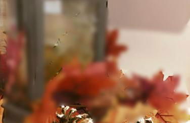 Encanto en el Moncayo - Photo 36