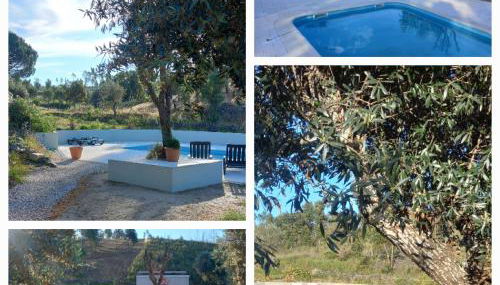 Vale de Garcia AL 5357 - Foto 2